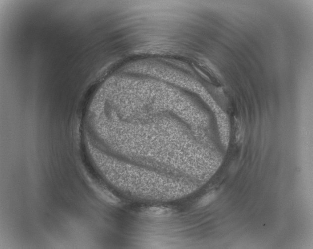 X0000068280542200605121914