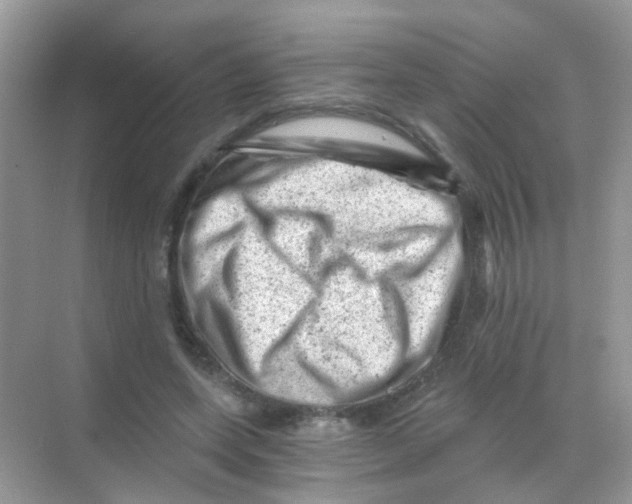 X0000068280543200605121914