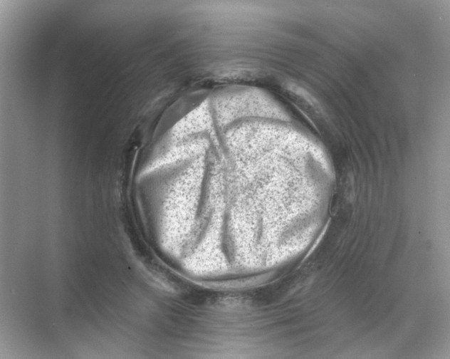 X0000068280546200605121915