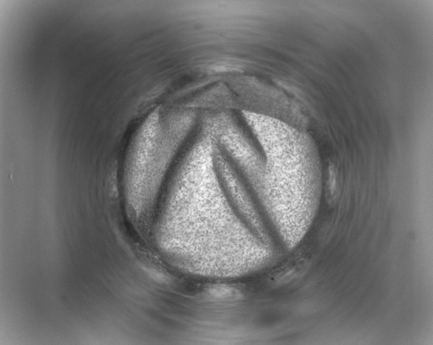 X0000068280547200605121915