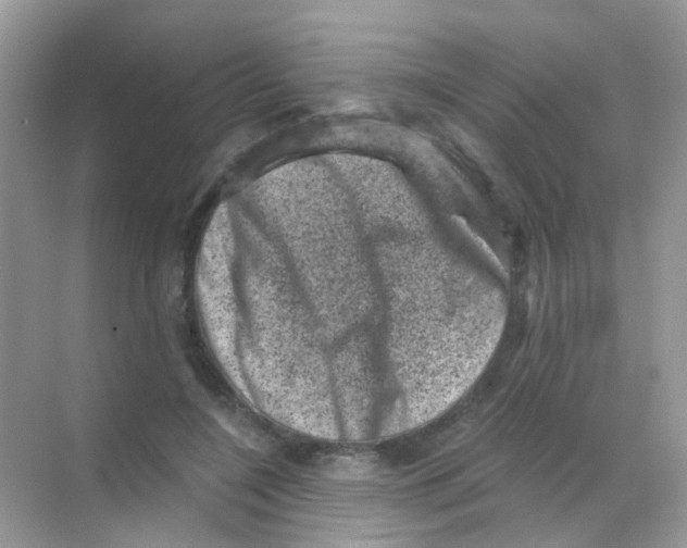 X0000068280548200605121915