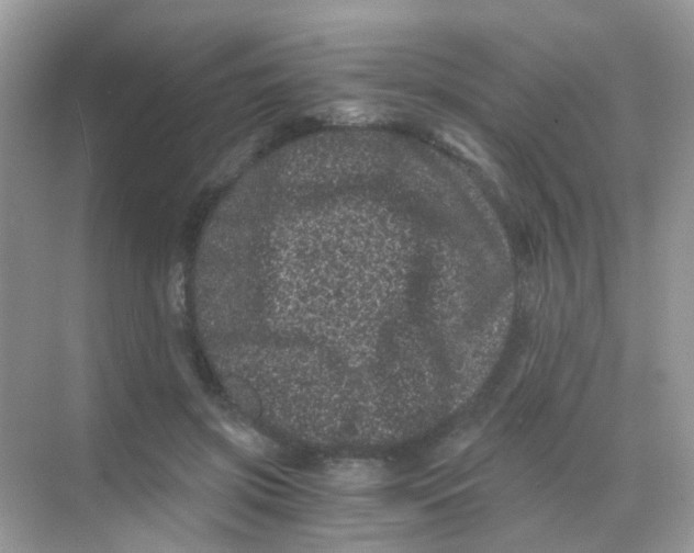 X0000068280549200605121915