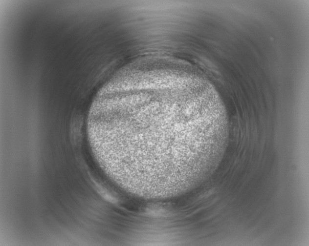 X0000068280550200605121915