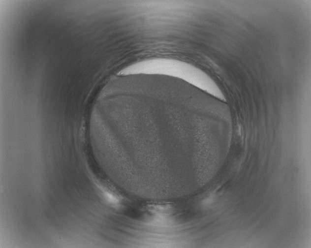 X0000068280552200605121915