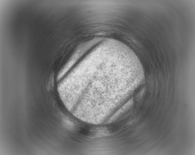 X0000068280554200605121915