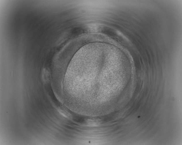 X0000068280556200605121915