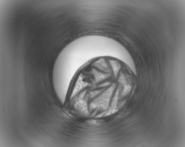 X0000068280558200605121915