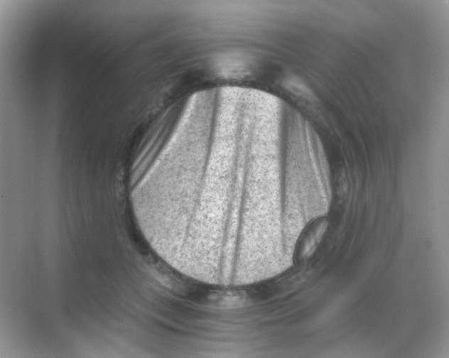 X0000068280559200605121915