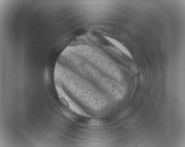 X0000068280562200605121915