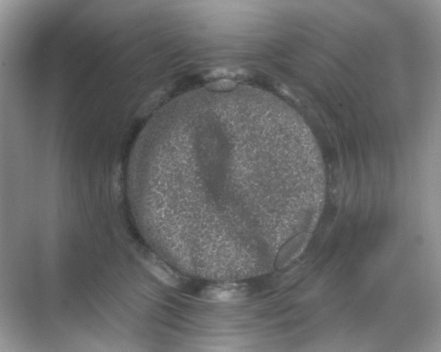 X0000068280563200605121915