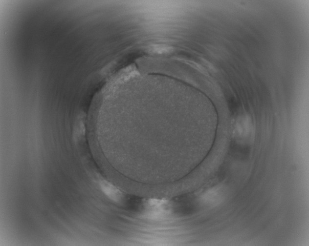 X0000068280570200605121915