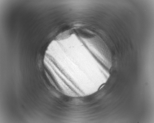 X0000068280573200605121915