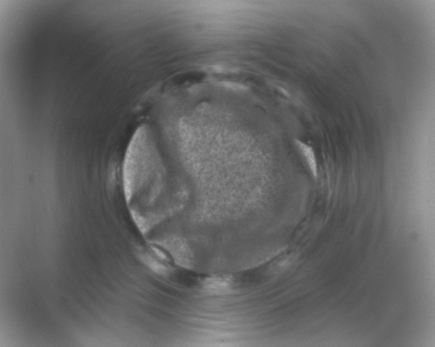 X0000068280574200605121915