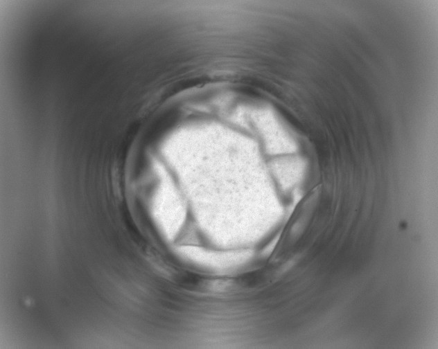 X0000068280575200605121915