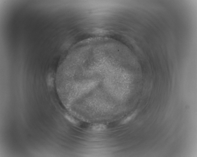 X0000068280576200605121915