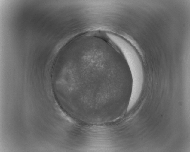 X0000068280577200605121914