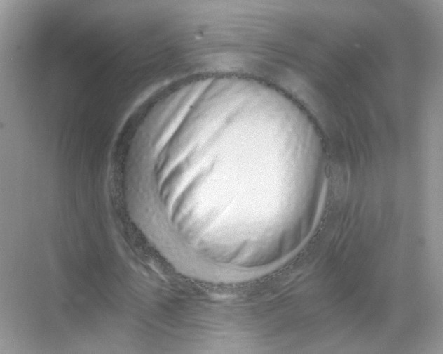 X0000068280579200605121914