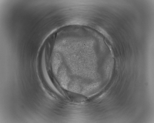 X0000068280580200605121914