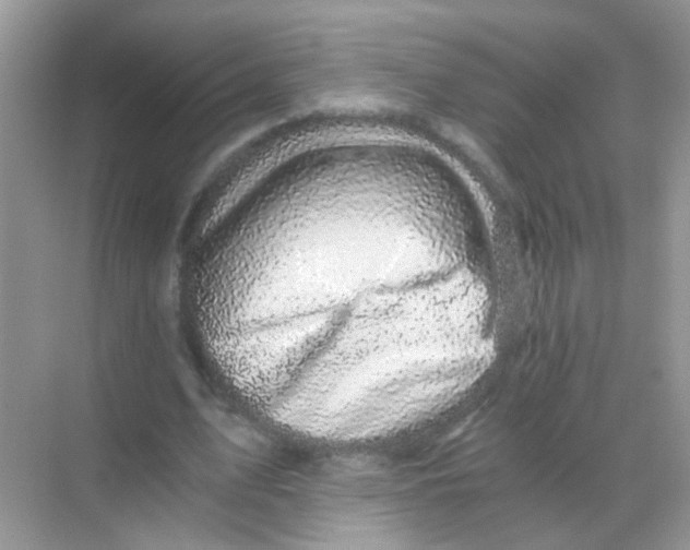 X0000068280583200605121914