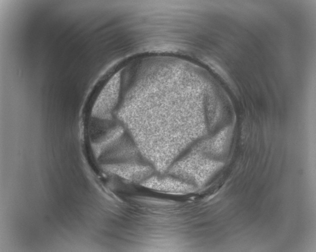 X0000068280584200605121914