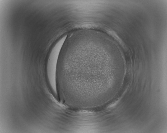 X0000068280585200605121914