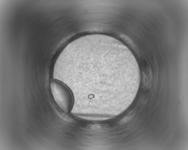 X0000068280588200605121914