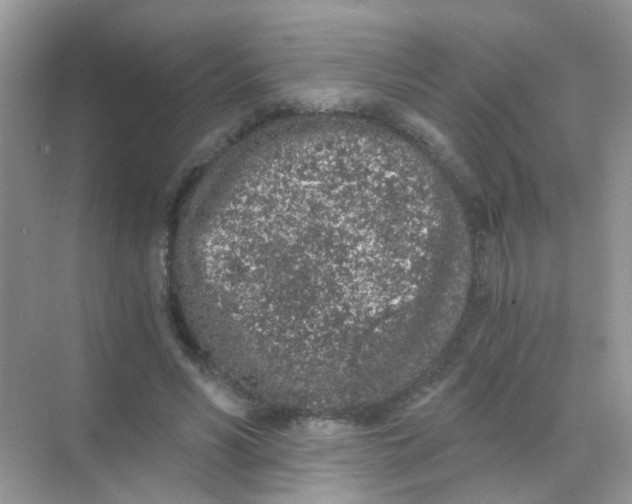 X0000068280590200605121914