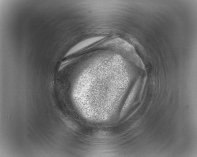 X0000068280593200605121914