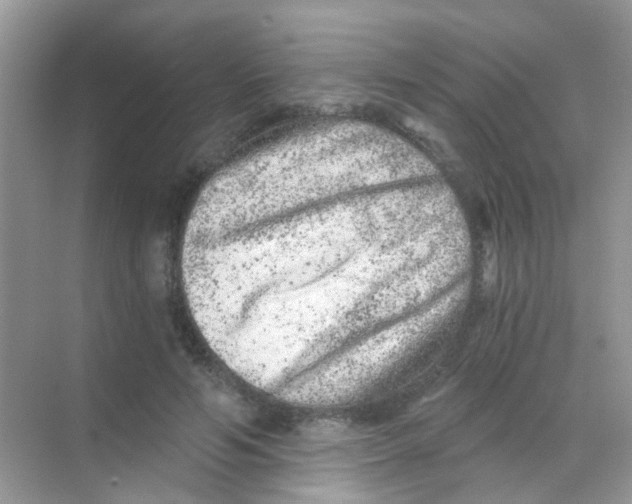 X0000068280594200605121914