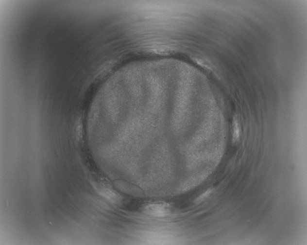 X0000068280595200605121914