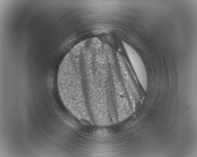 X0000068280600200605121914