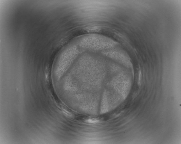 X0000068280604200605121914