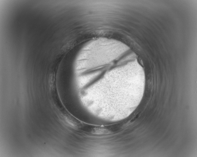 X0000068280605200605121914