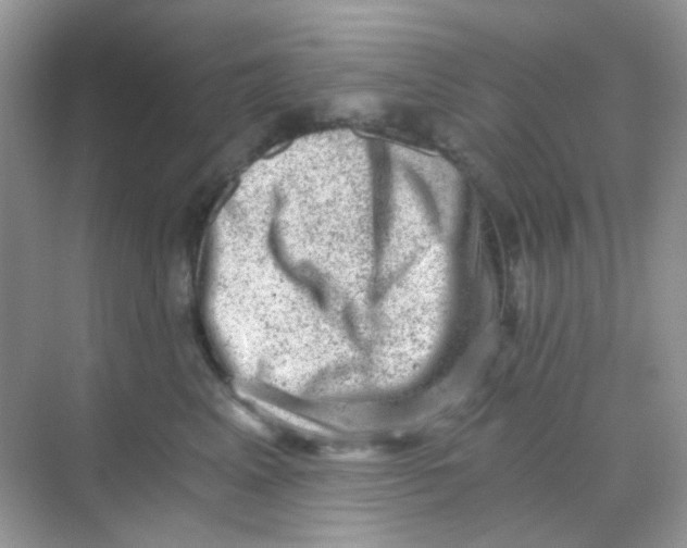 X0000068280617200605121914