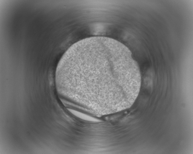 X0000068280620200605121913