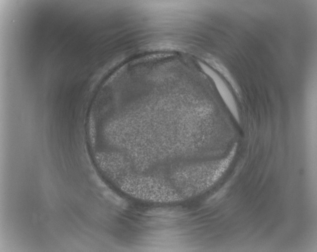 X0000068280625200605121913