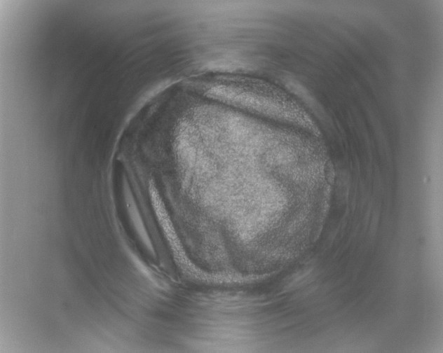 X0000068280626200605121913