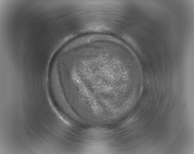 X0000068280630200605121913