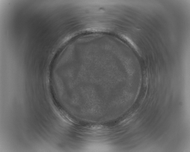 X0000068280631200605121913