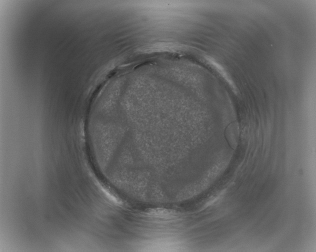 X0000068280633200605121913