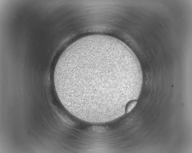 X0000068280636200605121913