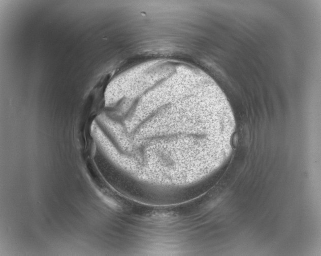 X0000068280638200605121913