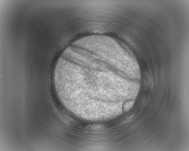 X0000068280639200605121913