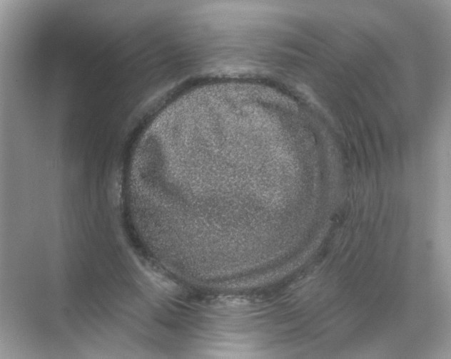 X0000068280640200605121913