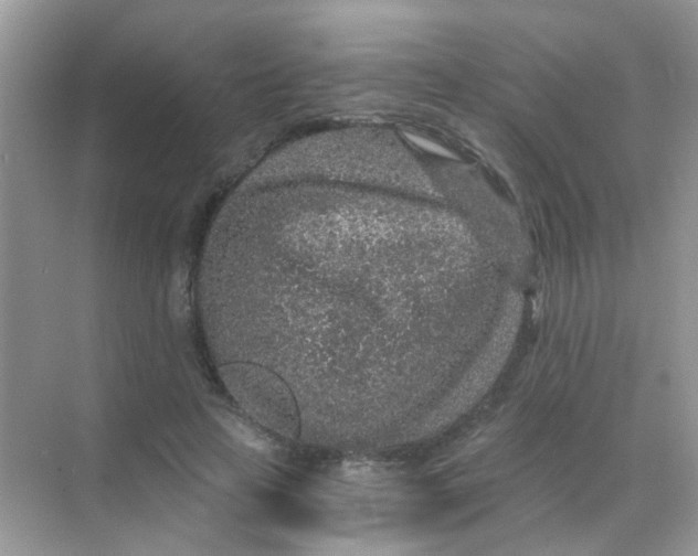 X0000068280641200605121913