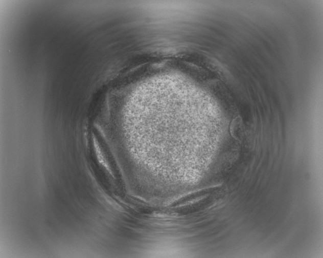 X0000068280642200605121913