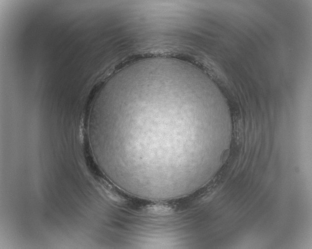 X0000068280644200605121913