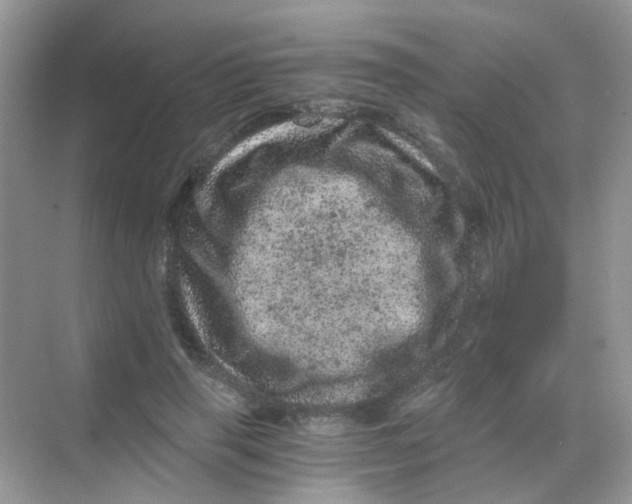 X0000068280645200605121913