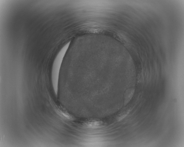 X0000068280646200605121913