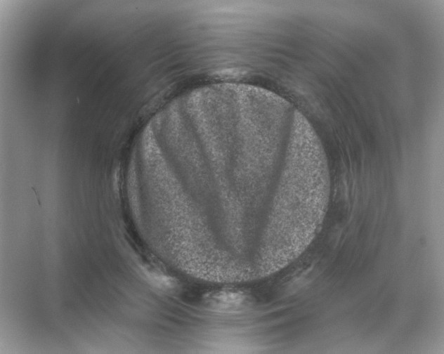 X0000068280647200605121913